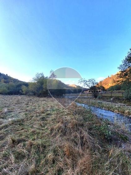 Teren agricol extravilan de 3981 mp, în Plaiul Foii