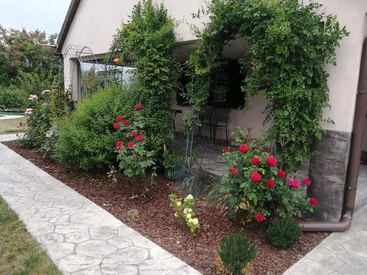 Casă cu Teren 1457 Mp în Rudna