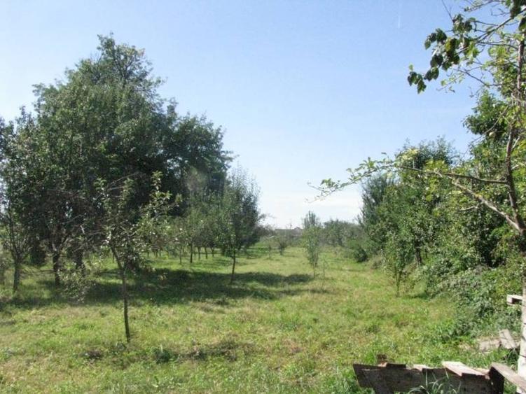 Teren intravilan de 4400 mp, în Prejmer