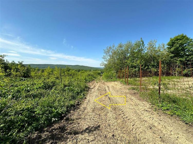 Teren Construcții intravilan de 764 mp, în Bârnova