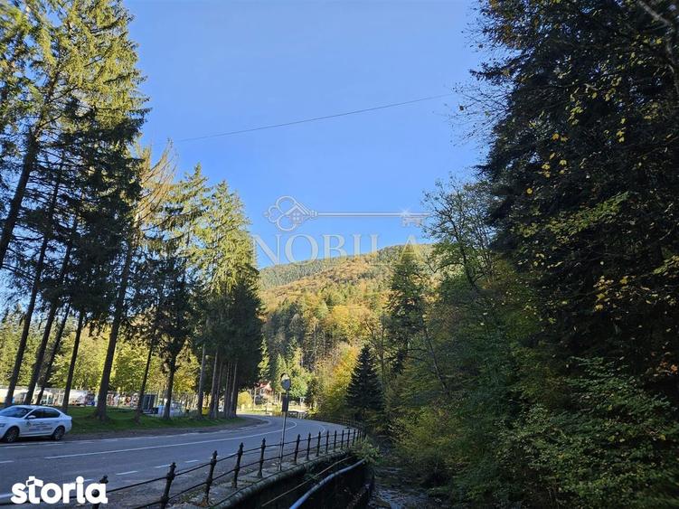 PENSIUNE 2 MARGARETE DE VANZARE in STATIUNEA MONTANA SLANIC MOLDOVA - 13
