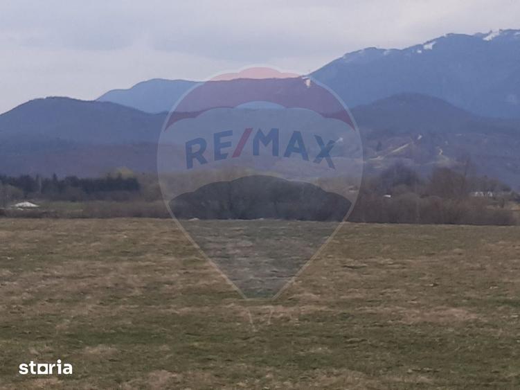 Teren 10,000mp Rasnov / Drumul Panicel - 7