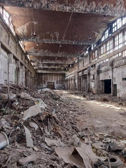 Teren Construcții intravilan de 25000 mp, în Domenii