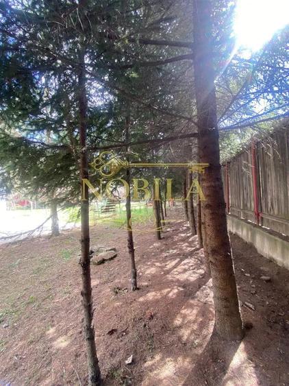 Casă cu 10 camere cu Teren 1332 Mp în Mănăstirea Cașin
