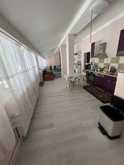 Casă individuală cu 4 camere cu Teren 1798 Mp în Iecea Mare