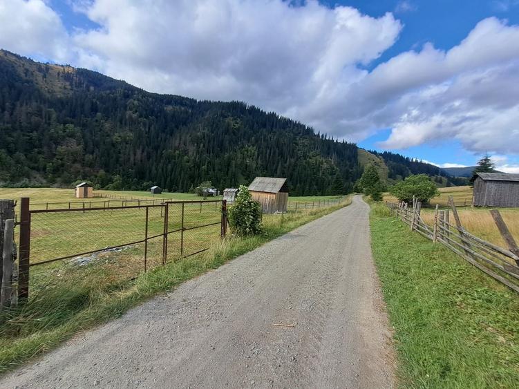 Spațiu comercial, în Ortoaia