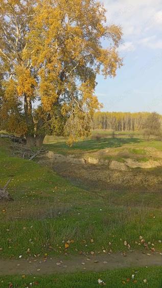Teren de 1000 mp, în Central
