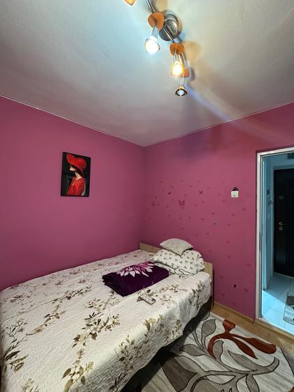 Garsonieră în Alexandru cel Bun