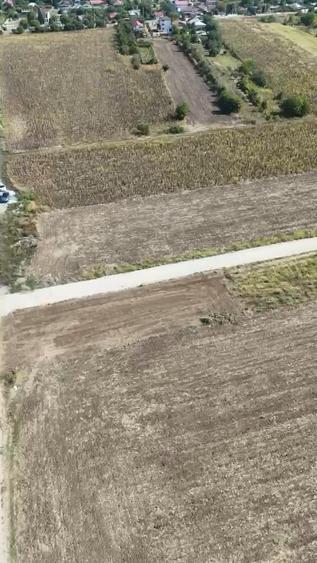 Teren Construcții intravilan de 10000 mp, în Frumușani