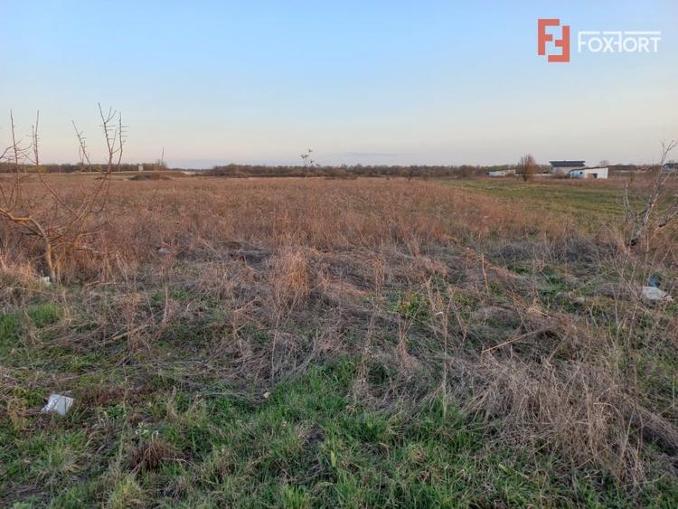 Teren Construcții extravilan de 4464 mp, în Ghiroda