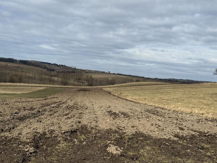 Teren Construcții intravilan de 1556 mp, în Horodnic de Jos