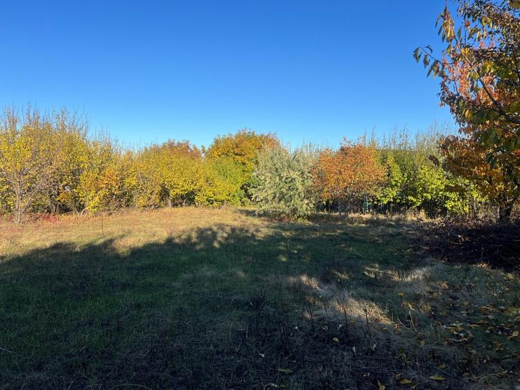 Teren Construcții intravilan de 800 mp, în Horlești (Rediu)