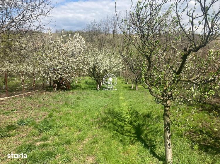 Casă cu 4 camere în Rusenii Noi