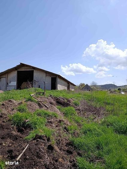 Teren 5300mp + Casa modesta si anexe, SanPaul, sat Sumurducu, jud.Cluj - 6