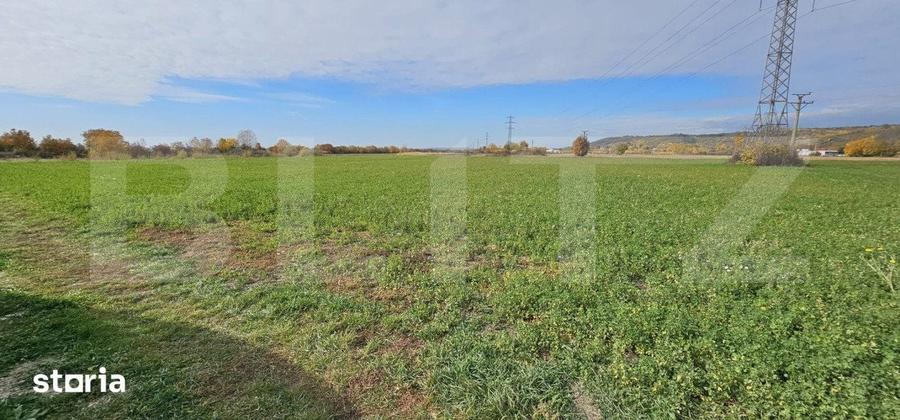Teren de 1400 mp, în Răzvad