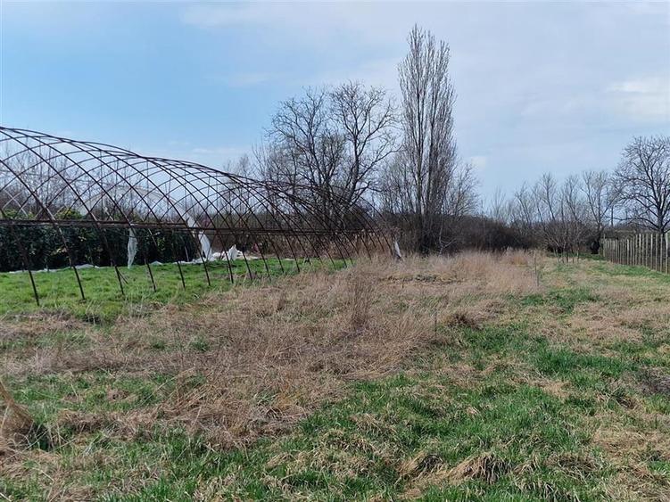 Casă cu 2 camere cu Teren 1114 Mp în Borș