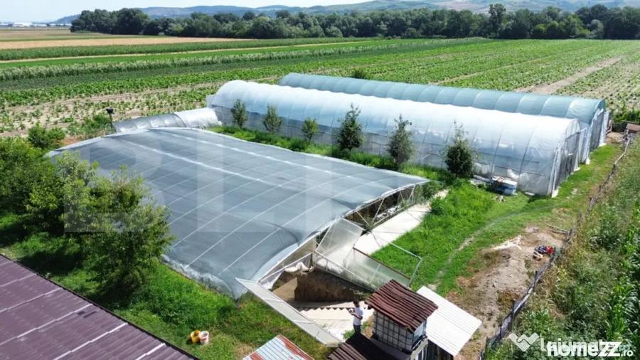 Teren extravilan 14.000 mp, Drambar Ciugud | solarii, f - 7