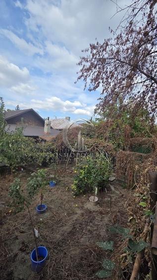 Casă individuală cu 3 camere cu Canalizare în Broșteni