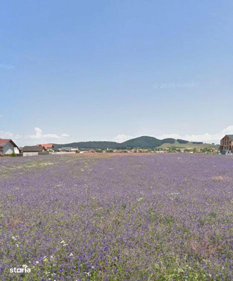 Loturi de casa 535mp cu utilitati, zona Primaverii, Sanpetru - 1