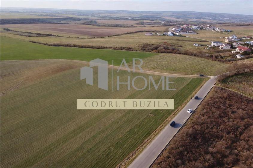 Teren Construcții intravilan de 2500 mp, în Chițorani
