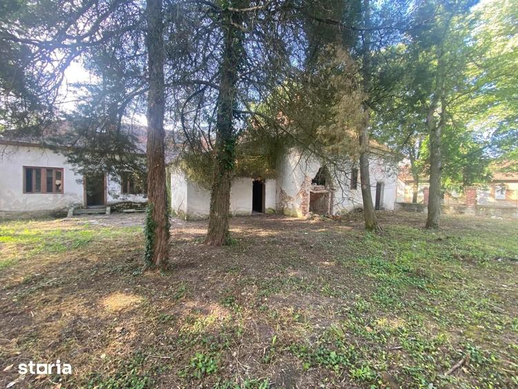Casă cu 10 camere cu Teren 3110 Mp în Balinț
