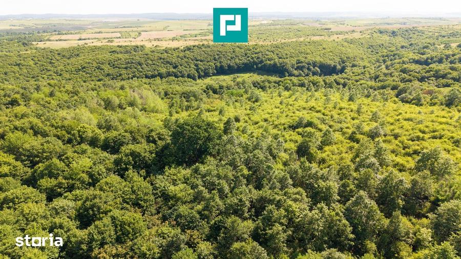Teren de 22900 mp, în Central