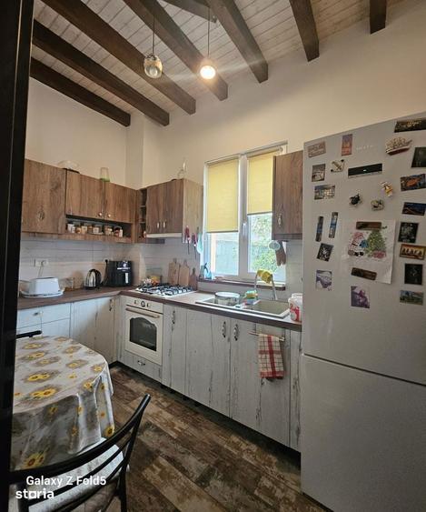 Casa noua Podgoria, 1035 mp teren - 4