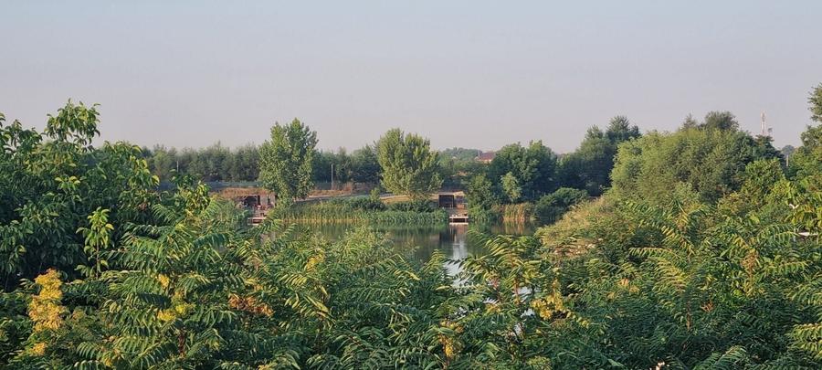 Teren Construcții intravilan de 1000 mp, în Clinceni