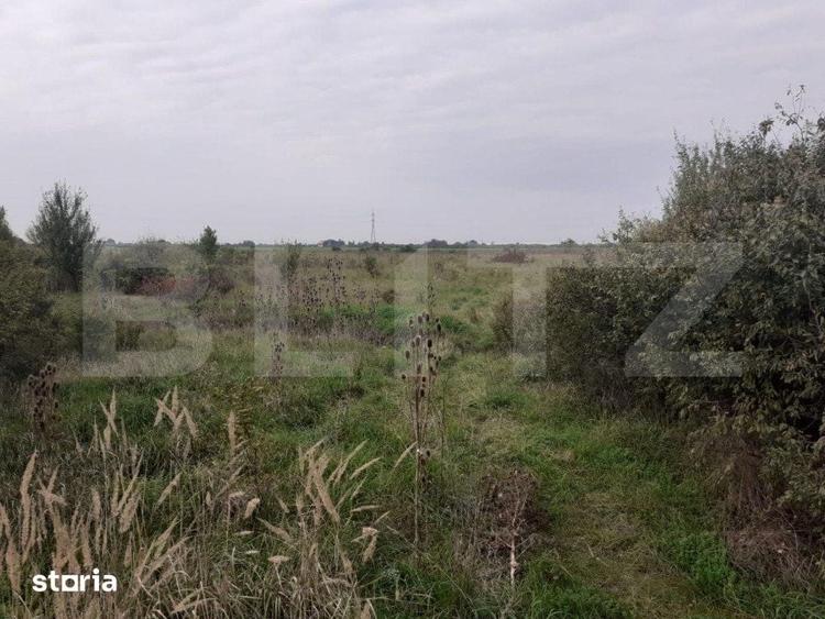 Teren de 39600 mp, în Iosefin