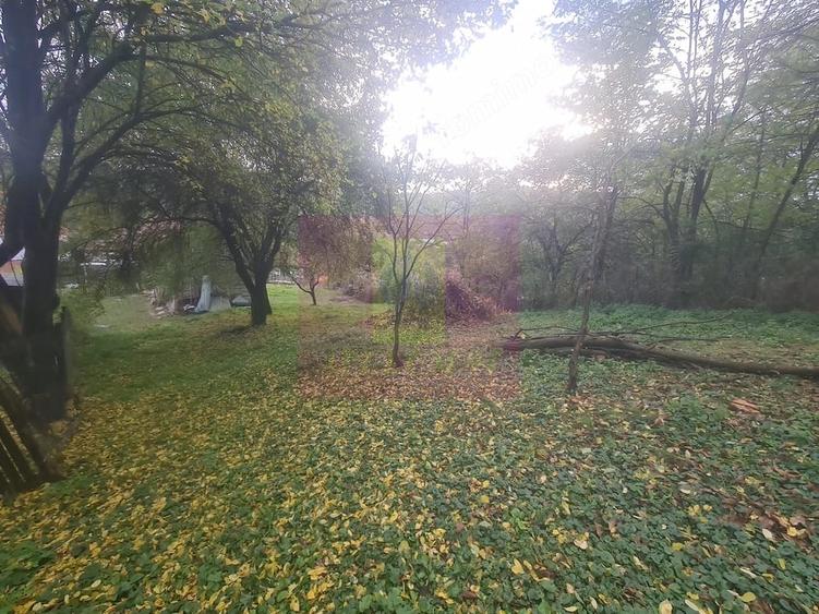 Casă cu 3 camere cu Teren 3410 Mp în Aluniș