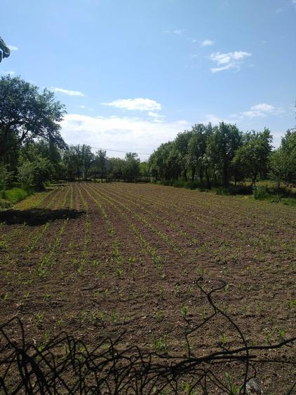 Casă cu 3 camere în Talpoș
