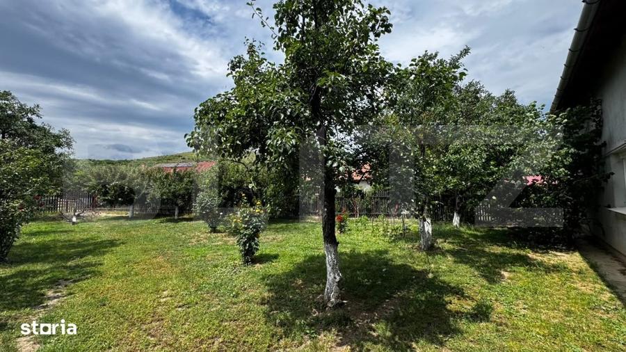 Casă cu 4 camere cu Teren 1144 Mp în Șard