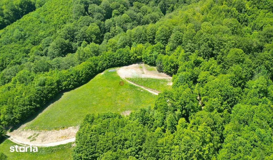 Teren de 16000 mp, în Holbav