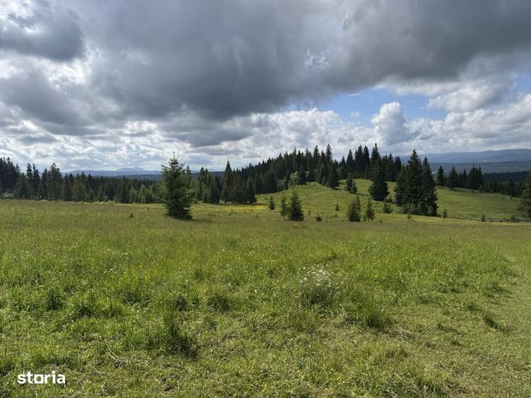 2 Ha teren cu intravilan pe Via Transilvanica; Bucovina - 8
