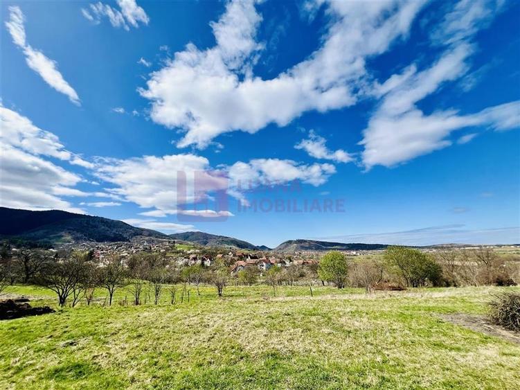 Teren Construcții intravilan de 3240 mp, în Vale