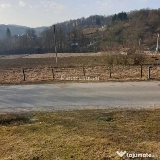Teren 7000mp Pucioasa - Zona Pitoreasca - Stubeie Tisa (Dambovita)