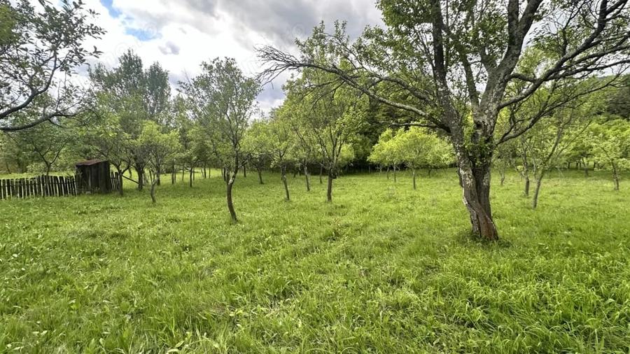Teren de 3102 mp, în Blănoiu