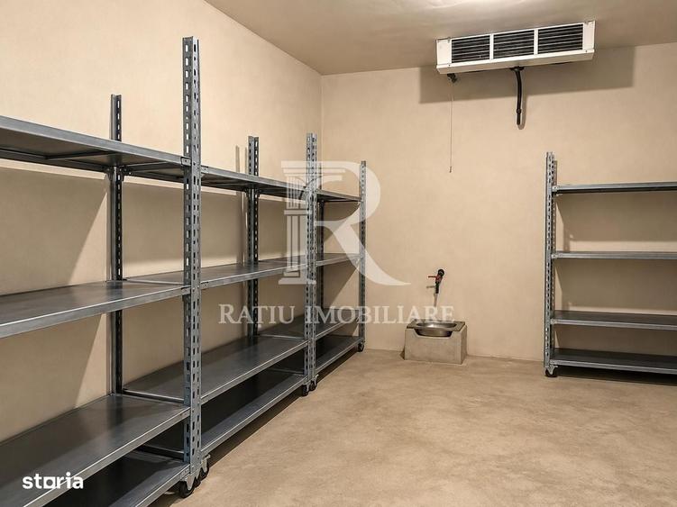 Spațiu comercial, în Tămășeu