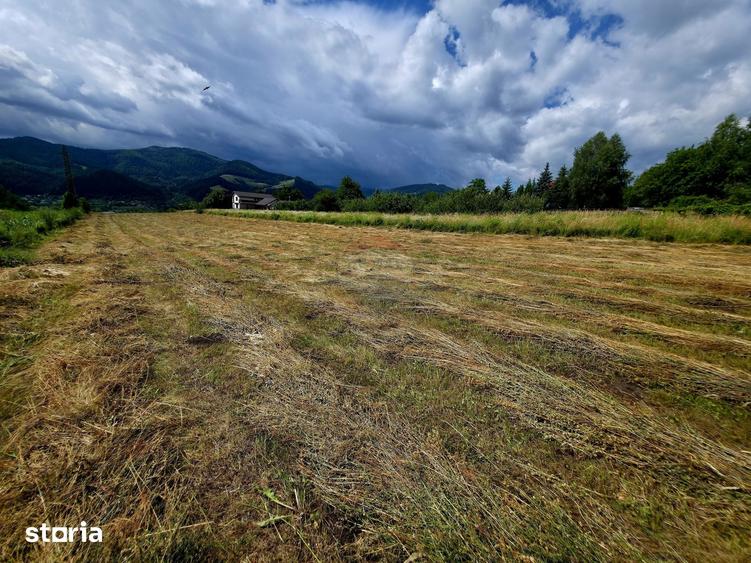 Teren de 600 mp, în Alexandru cel Bun
