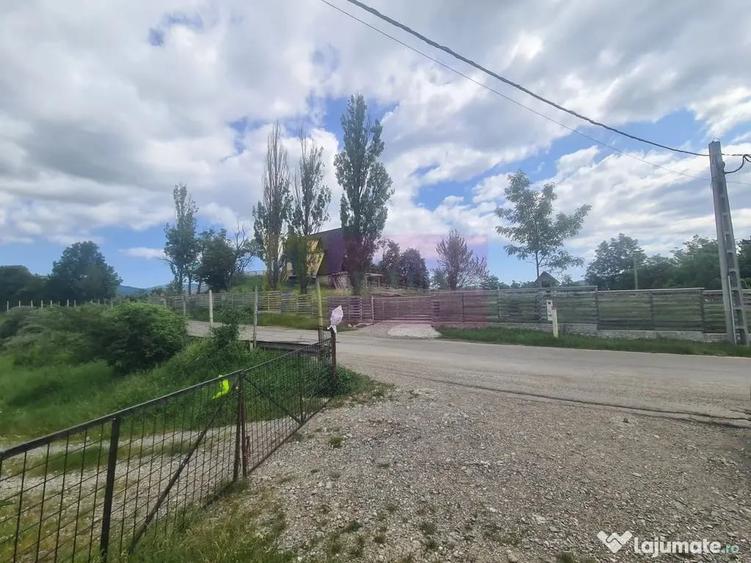 Teren de 9037 mp, în Plaiul Tălii