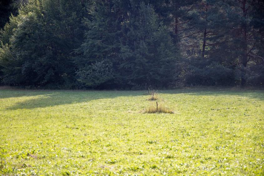 Teren Construcții intravilan de 6800 mp, în Vulcan