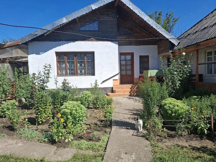 Casă cu Teren 1500 Mp în Secu