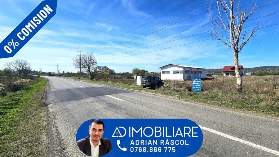 Teren în Narciselor
