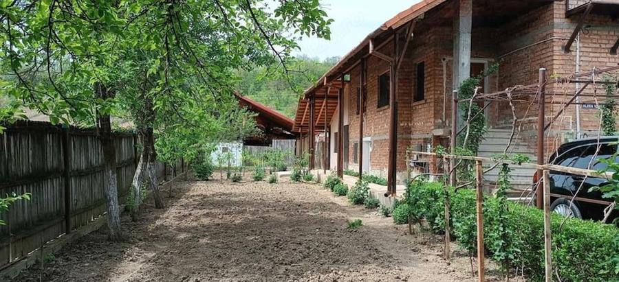 Casă cu 3 camere cu Teren 1800 Mp în Piscoiu