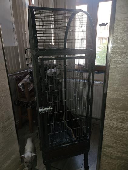 Apartament în Central