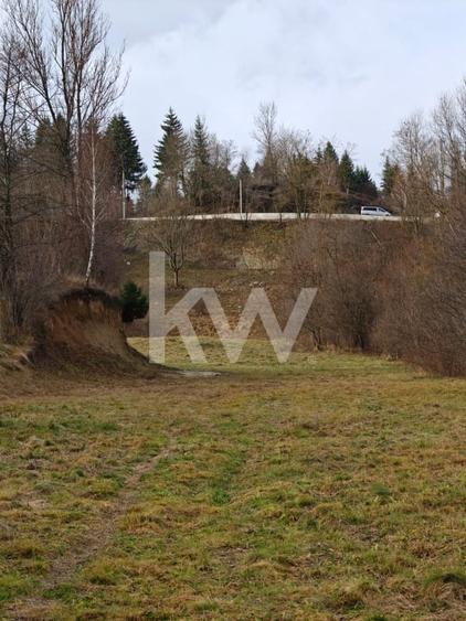 Teren Construcții intravilan de 3726 mp, în Dâmbovicioara
