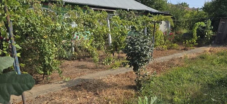 Casă cu Teren 2634 Mp în Chirnogeni