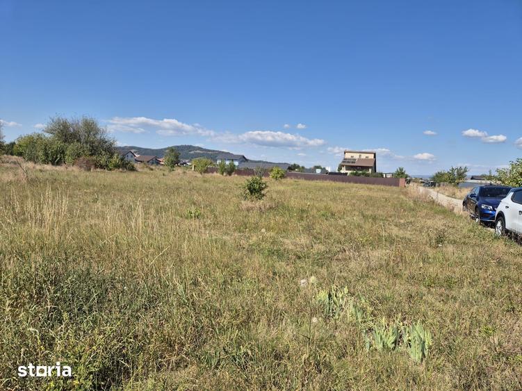 Teren intravilan- 1000mp- Harman-Brasov - 7