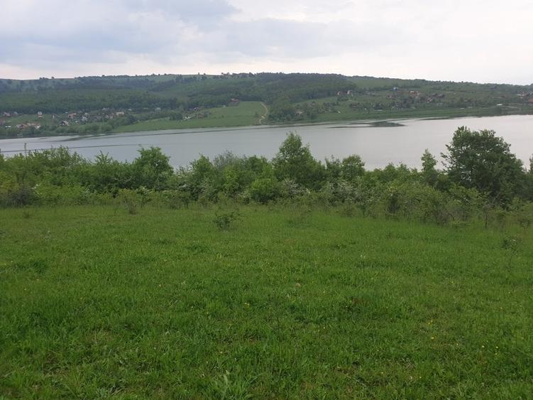 Teren Construcții intravilan de 5800 mp, în Pădureni