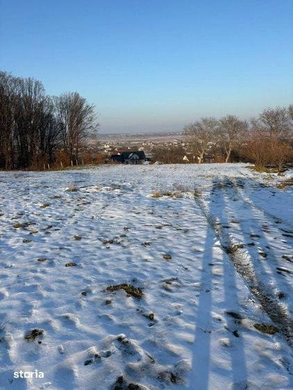Teren de 9100 mp, în Bosanci